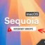 Cómo solucionar las caídas de la conexión a Internet después de actualizar macOS Sequoia