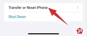 Opción de transferencia o restablecimiento de iPhone