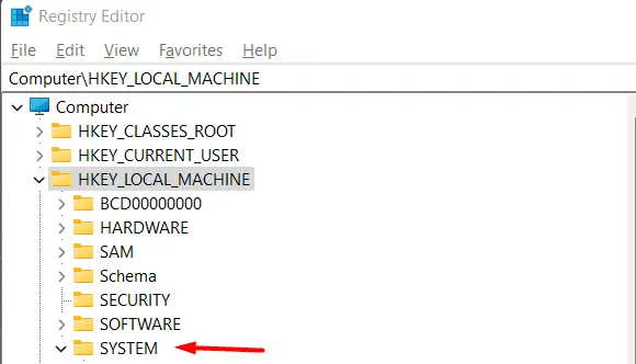 CurrentControlSet Option